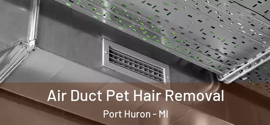  Air Duct Pet Hair Removal Port Huron - MI