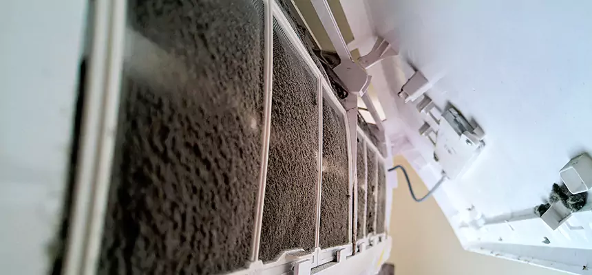 Preventive Air Duct Bacteria Removal in Port Huron