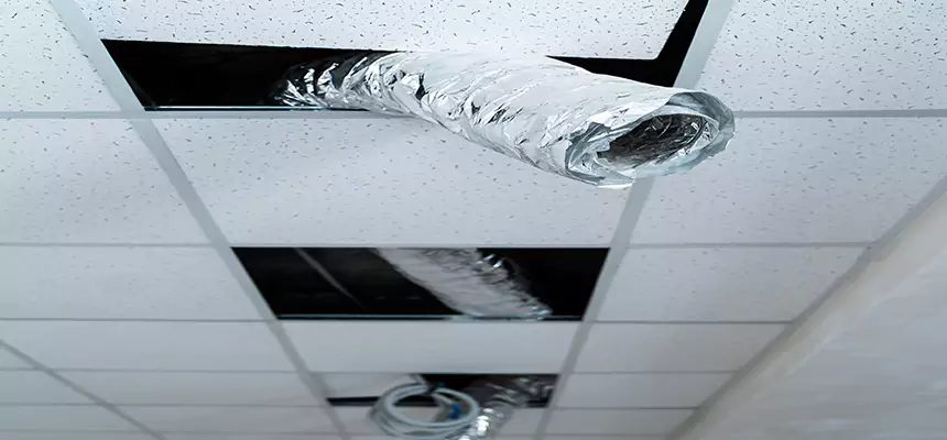 Affordable HVAC Sanitizing After Pest Removal in Port Huron