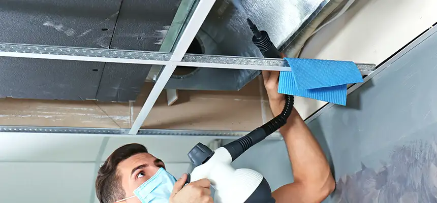 Our Air Duct Rodent Removal Services in Port Huron, MI