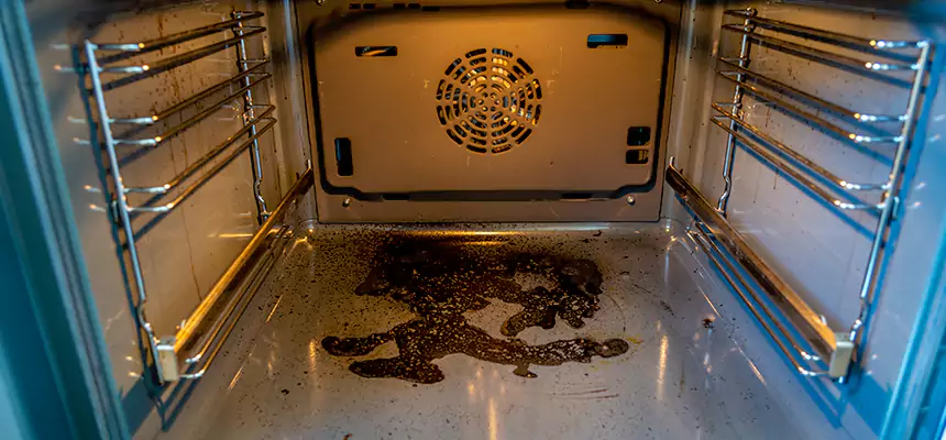 Our Dryer Vent Mold Cleaning Services in Port Huron, MI