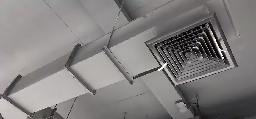 Our Pest Removal From Ducts Services in Port Huron, MI