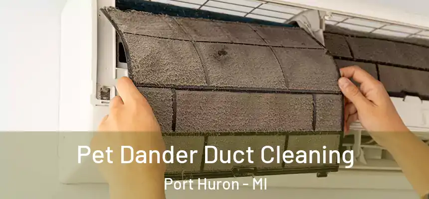  Pet Dander Duct Cleaning Port Huron - MI