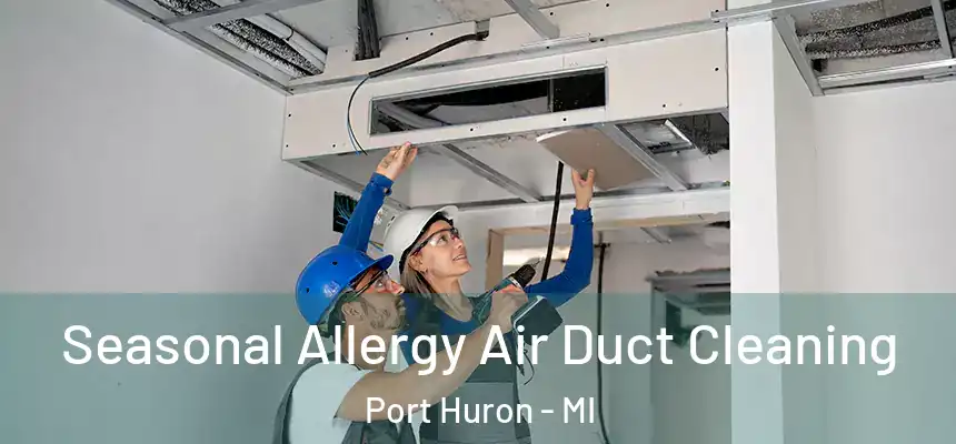  Seasonal Allergy Air Duct Cleaning Port Huron - MI