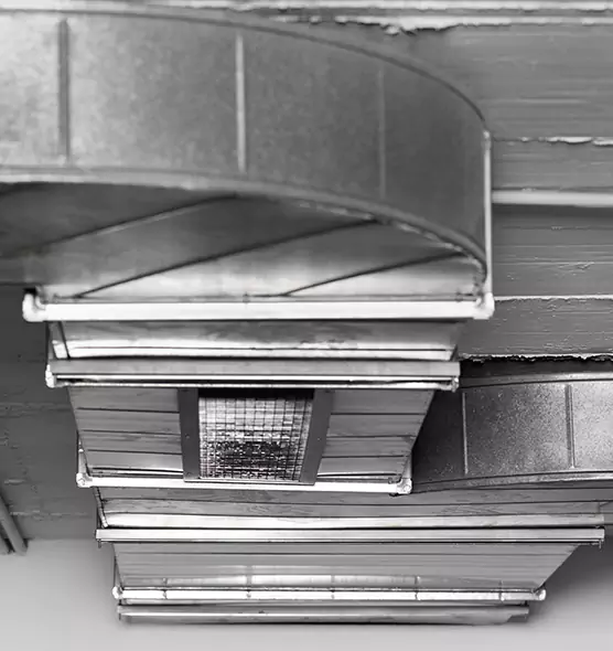 Professional Air Duct Pest Removal in Port Huron, MI