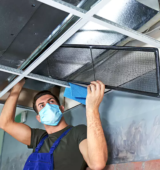 Professional Air Duct Pollen Cleaning in Port Huron, MI