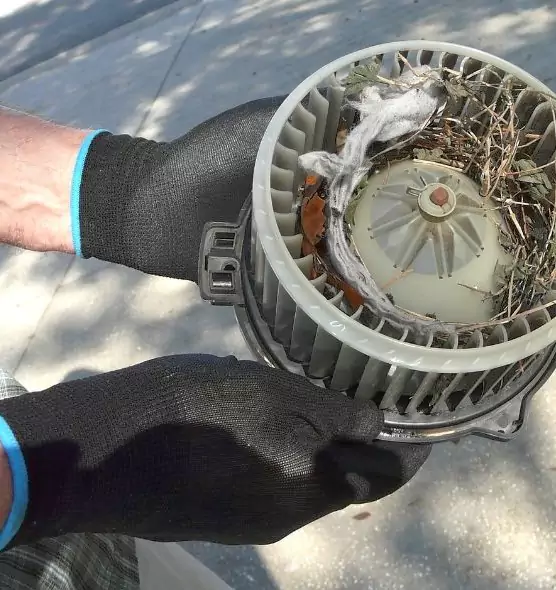 About Air Duct Rat Removal in Port Huron, MI