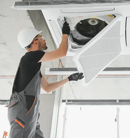 About Air Duct Rodent Removal in Port Huron, MI