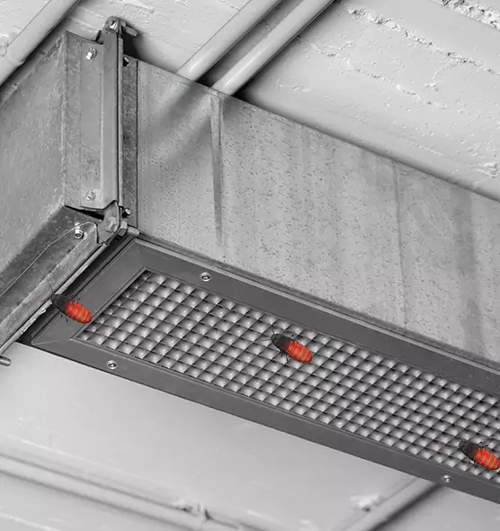 Affordable Insect Removal from Air Ducts in Port Huron, MI