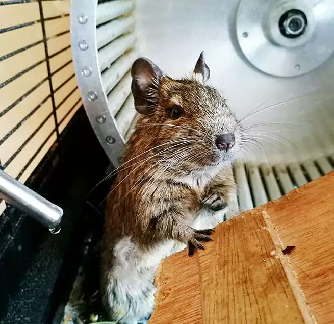 Why Homeowners & Businesses Trust Us Port Huron, MI?