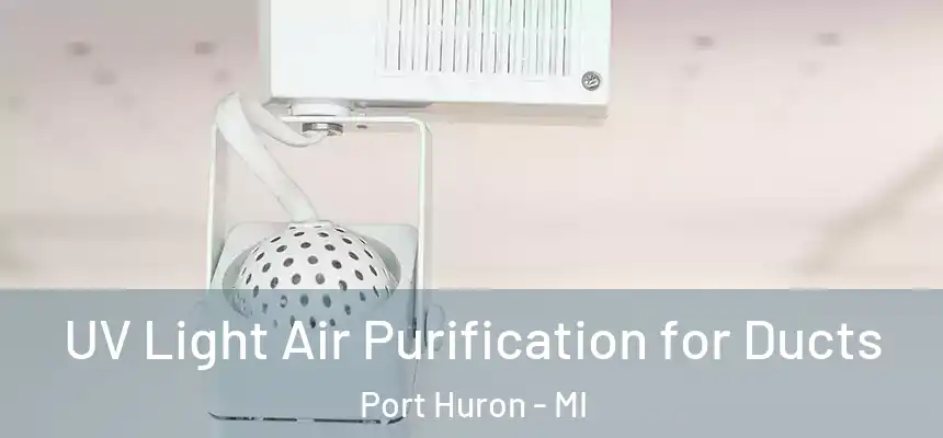  UV Light Air Purification for Ducts Port Huron - MI
